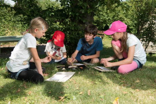 Des enfants dessinent dans une prairie