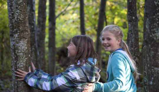 Bambine e albero