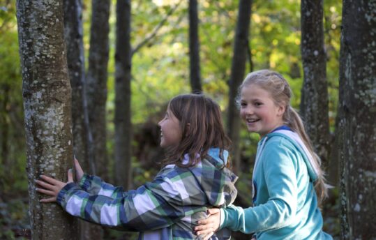 Bambine e albero