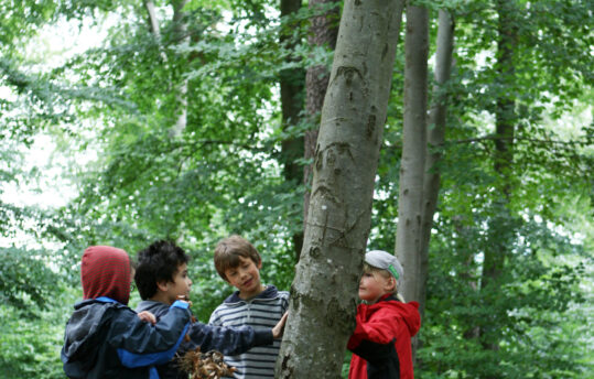 Ragazzi attorno a albero