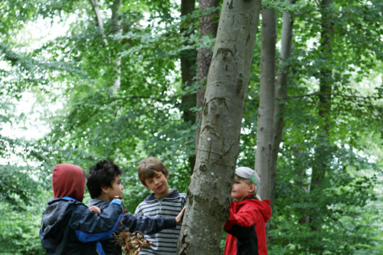 Ragazzi attorno a albero